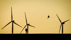 Die Nordsee soll u.a. mit Windkraft zum Powerhouse der Energiewende werden. Foto- Niclas Dehmel via Unsplash