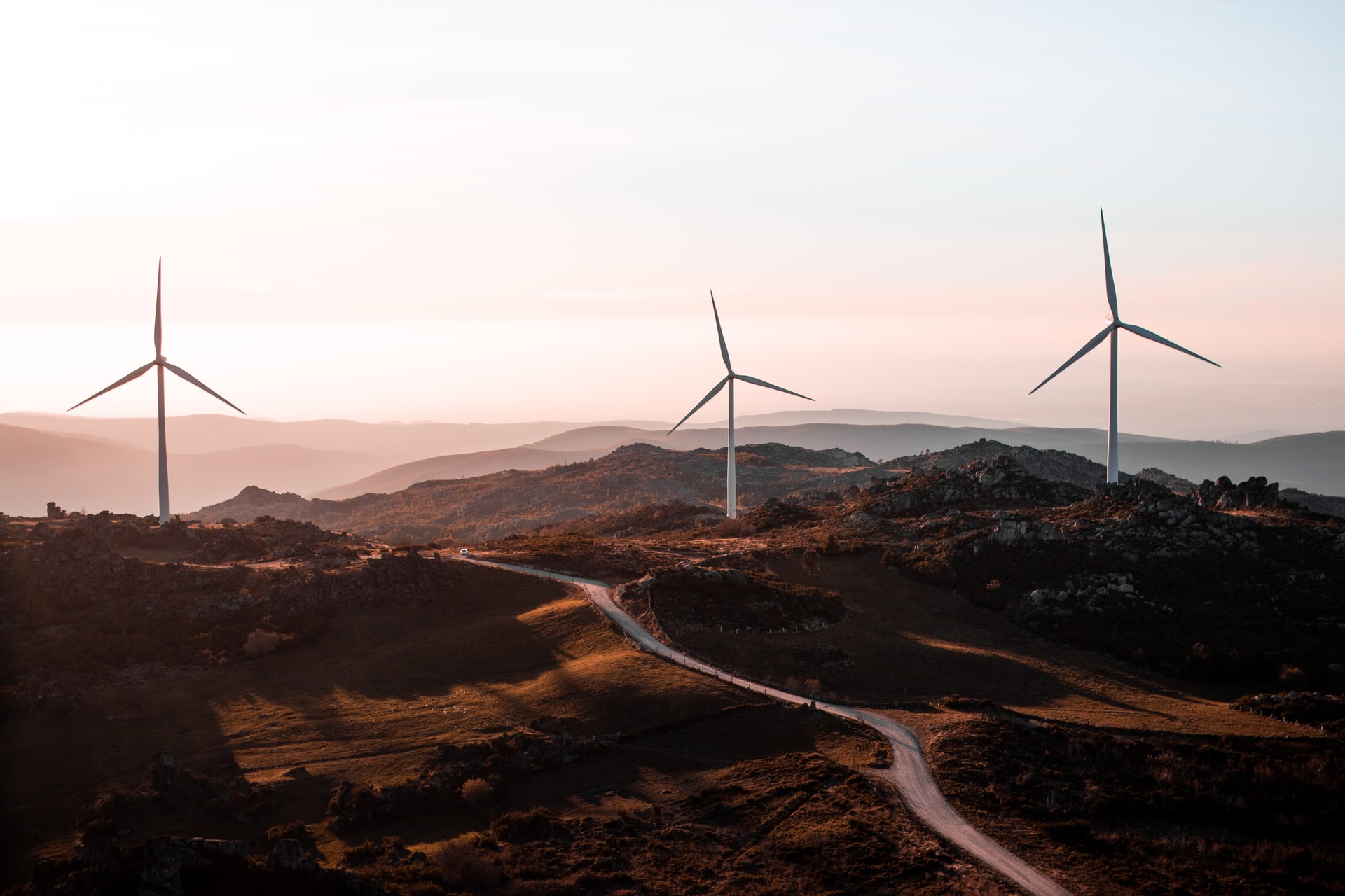 Greentech in focus: Asterion buys Steag and focuses on solar, wind, hydropower energy and biomass plants. Photo: Karyatid via Unsplash